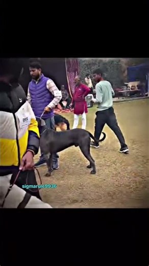 Aura 9999+ #reel #reelitfeelit #reelkrofeelkro #reel #viral #viralvideo#viralreels