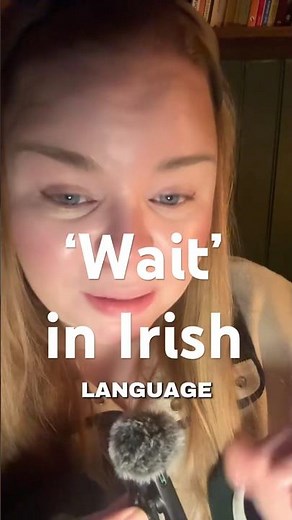 How to say wait in Irish, as Gaeilge #learnirish #gaeilge #irishlanguage #gaelscoil