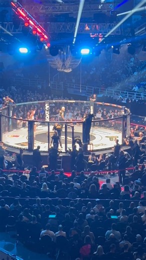 Oktagon | Zdenek Merta