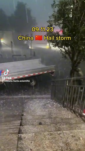 anaconda choker on TikTok