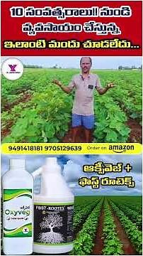 పత్తిలో మొదటి స్ప్రే ఫాస్ట్ రూటెక్స్ ఆక్సివేజ్ ,తొందరగా క్రాప్ సెట్ అయ్యి రెండో క్రాప్ వెళ్ళచ్చు