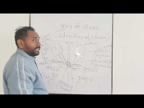 structure of flowers and flower diagram