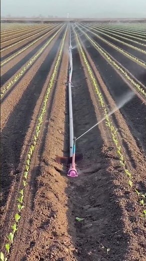 Incredible Modern Irrigation: How Massive Pivot Sprinklers Work!#smartfarming #agropulsecanada