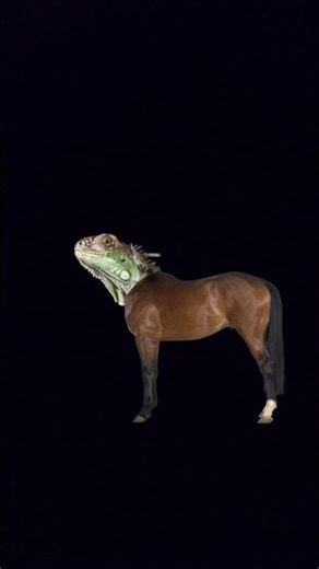 hourse real head comment #trending