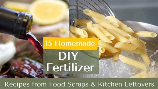 15 Homemade DIY Fertilizer Recipes from Food Scraps & Kitchen Leftovers
