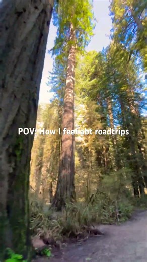 22 HOUR roadtrip🚗