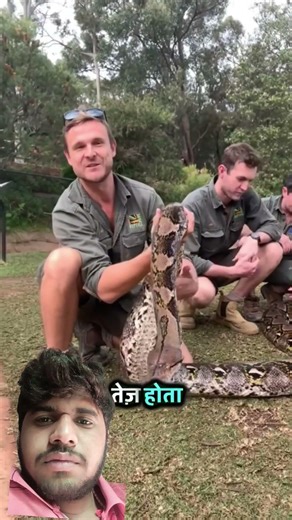 Top 5 Scariest Creatures Living in the Amazon Rainforest 😱 #shorts