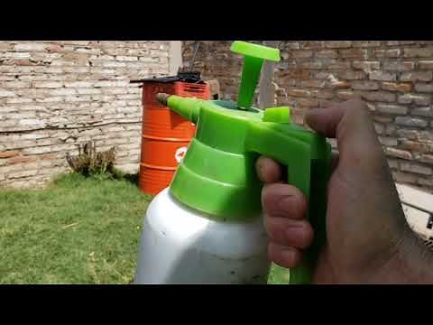 HOW TO ELIMINATE, KILL, EXTERMINATE WASPS AT HOME, EASY, FAST, AND ECONOMICALLY.