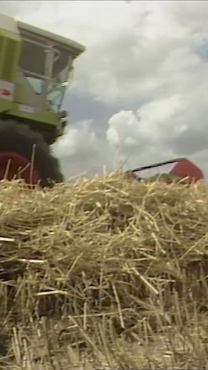 Acompáñanos en un viaje 🧳 nostálgico por los hitos de la gran historia de las cosechadoras de CLAAS desde los años setenta hasta los noventa. 🤩 👉🏼 Descubre más aquí: https://bit.ly/3Wgsb10 #CLAASmorethanamachine #claasfarming #claas #farming #harvest | CLAAS Ibérica España