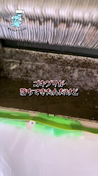 エアコンからゴキブリが、、😱 #エアコンクリーニング #ハウスクリーニング #完全分解洗浄 #エアコン #エアコン掃除