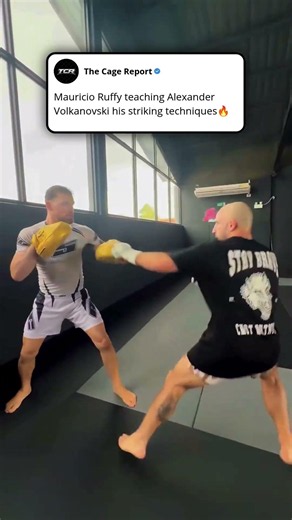 Mauricio Ruffy teaching Alexander Volkanovski his striking techniques🔥