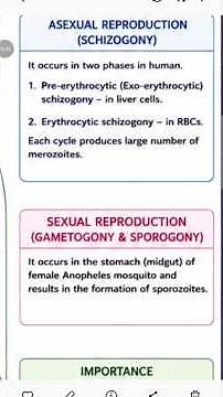 How Does #Malaria Actually #Spread? 🦟 (Plasmodium Life Cycle Explained!)
