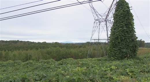 Virginia data center surge sparks debate over environmental and community impact