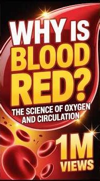 Why Is Blood Red? | The Science of Oxygen and Circulation#bloodoxygen #bloodred #bloodflow