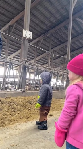 9.4K views · 161 reactions | Tubergen Dairy Farm LLC on Reels | Facebook