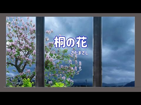 さだまさし 桐の花