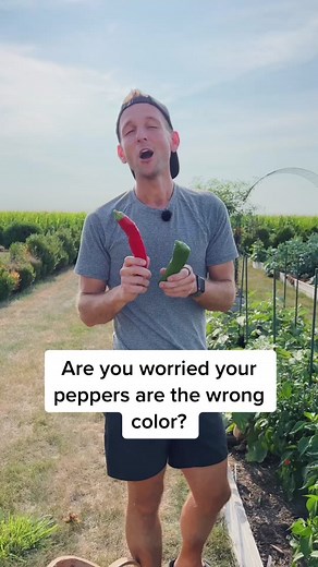 Pepper Color Transformation: Tips and Tricks