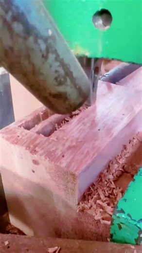 Powerful Large Logging Saw in Action 🔥 | Ultimate Hand Saw Wood Cutting Tool #Woodworking #tools