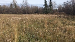 The Department of Natural Resources, Division of Mining, Land & Water...