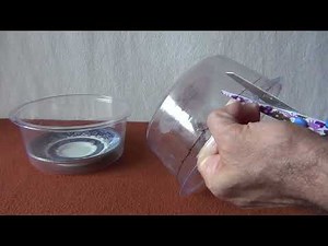 How to make a cockroach trap the easy way