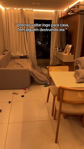 Sofá destruído e mijado pelo cachorro: como resolver e prevenir