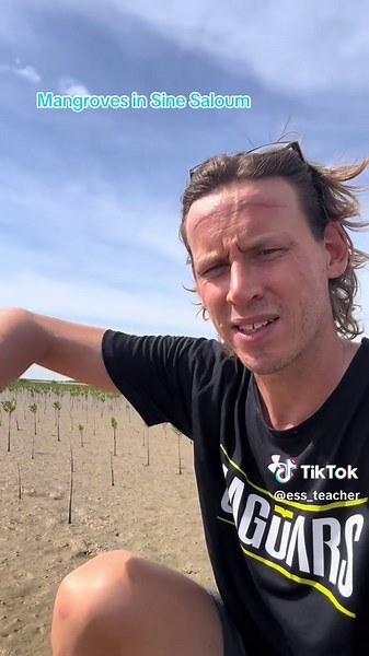 #environmentalscience #ib #teachersoftiktok #senegal #ESS #ibdp #scienceiscool #mangrove