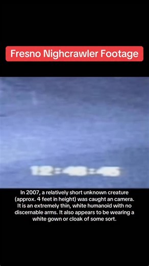 Original Nightcrawler Footage from Fresno, California. In 2007, a video surfaced online that shows what appears to be an extremely thin, white unknown humanoid creature with no discernable arms. It seems to be wearing a white gown or cloak of some sort. What was it? #creepy #cryptid #paranormal #scary #fyp #nightmare #trending #supernatural #nightcrawler #caughtoncamera | The Strangest