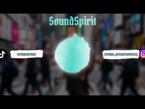 SoundSpirit - The Last Raven lyrics video👀🔥⚔️
