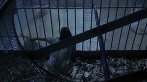 Incredible Shrinking Woman -1981