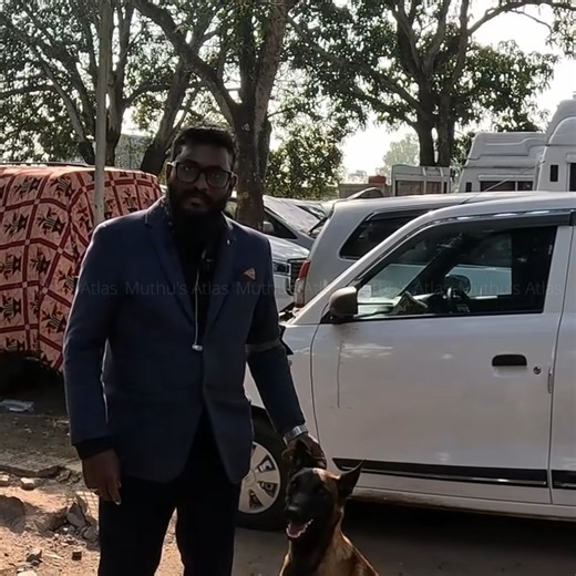 muthusatlas on Instagram: "Belgaum Dog Show | Belgian Malinois | Belgium Breed | 28, 29, 30 Nov2025 | 1)Unfortunately my old youtube channel suspended on 13/12/2025 2)Have created new you tube channel (New You tube Channel Name - Muthu's Atlas94) Link-https://www.youtube.com/channel/UCwRq-w5aVOY7PqY-VTGyvBA 3)Please try search using @muthusatlas94 Please like, Share & Subscribe #belgaumdogshow #dogshow #dogshow2025 #belgaumcanineassociation #indiandogshow #DogShowHighlights #ChampionDogs #DogSho