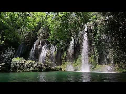 Waterfall Sound With Birds Chirping | No Music |