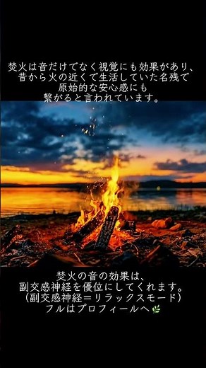 #作業用bgm #癒し #asmr #自然音 #環境音 #relaxingmusic #bgm #asmr #睡眠用bgm #睡眠導入 #睡眠 #relax #作業用
