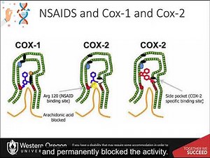 CH450 Chapter 8.1 Isozymes