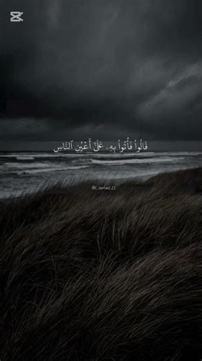 { سورة الأنبياء } القارئ سالم جمال