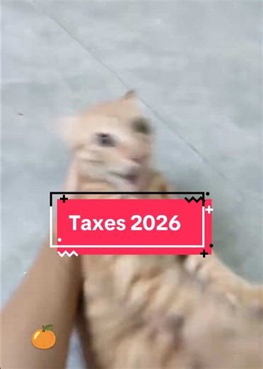 Go file if you owe, or you will owe more.