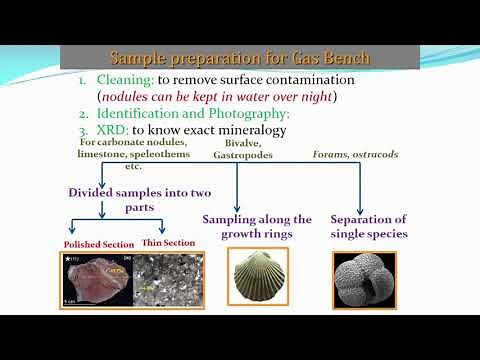 IRMS - Isotope Ratio Mass Spectrometry - Dr. Shailesh Agrawal - Earth Science NRC II BHU