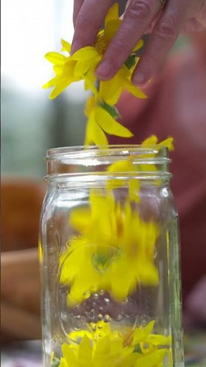 The Beauty of Arnica: From Wildcrafted Flower to Infused Oil