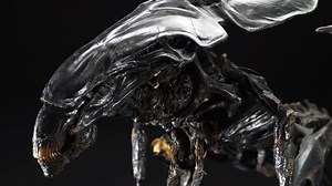 Our passion for helping both new and experienced collectors find the perfect piece from their favorite film or television shows, has led us to achieve numerous record-breaking entertainment memorabilia sales in our biannual auctions, held in both the US and UK. We're actively seeking high-quality film and television memorabilia to include in our Entertainment Memorabilia Live Auctions - Los Angeles, coming early Summer 2021. In addition to market-leading sale results, we also offer the following