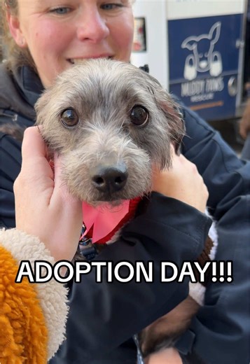 The happiest day with TWO foster adoptions!! Tootsie and Lady have both found their forever homes. We’re so proud of how far Tootsie has come in just 10 days, and couldn’t be happier for her happily ever after. Though she was scared at the event, the second she met her new parents she stopped shaking 🥹 You can continue following her story on Instagram, @ tootsiepup_bk