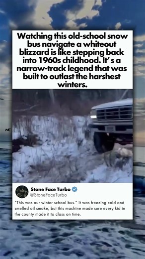 WAS THIS YOUR WINTER SCHOOL BUS?