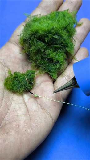 How to install moss bait using fishing equipment #shorts #fishing #tutorial