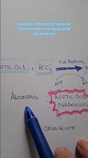 regulación enzimática: REGULACION DE LA ENZIMA ACETIL COA CARBOXILASA.