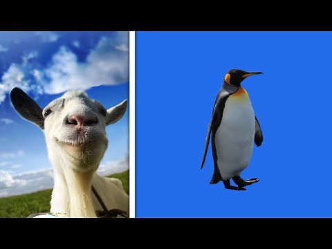 How to Unlock the Classy Goat (Goat Simulator)