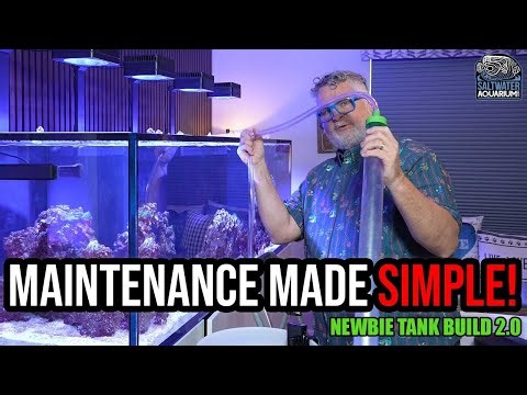 The Ultimate Tank Maintenance Guide: Water Changes, Testing, Emergency Prep! | Newbie Tank Build 2.0