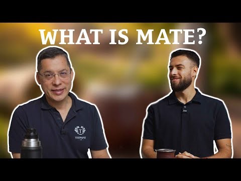 What is Mate?