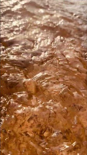 💧 Flowing Water Sound | Natural White Noise for Deep Sleep #deepsleep #watersounds