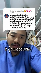 Bပိုး = cccDNAအကြောင်း👌👌👌 #ကျန်းမာရေးဗဟုသုတ #dailyvlog #medical #health @topfans #military | My Family My Life Sharing
