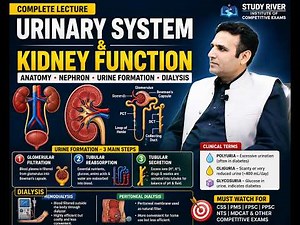 Urinary System & Kidney Function Explained | Nephron, Urine Formation & Dialysis | #urinarysystem