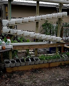 Some of you are handy and can probably frame better than me and just need the slope or angle of incline. It's a 1/6. I have a video coming out soon if you are new to this and need a little more explantion or are using different jugs. If you do not understand the lumber part, I am working on that as well as a full video showing everything. A lot of people said they wanted to come along for the ride as I experiment so I am sharing as I am going. Much love garden peeps! 😀❤🌿 #hydroponics #diy #gar