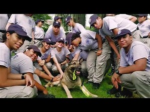 NYC Law Enforcement Exploring Program - Summer Academy